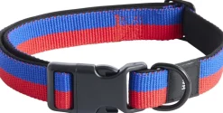 Dogs Collar Flat-M/L-Red, blue>Hay New
