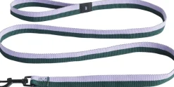 Dogs Leash-Flat M/L-Lavender, g>Hay Outlet