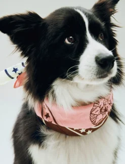 Hay Dogs Scarf Recycled-55 x 55-P