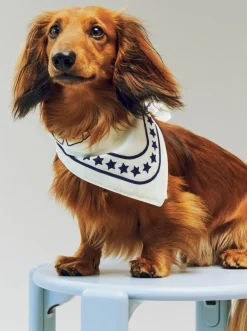 Dogs Scarf Recycled-55 x 55-O><noscript><img width=