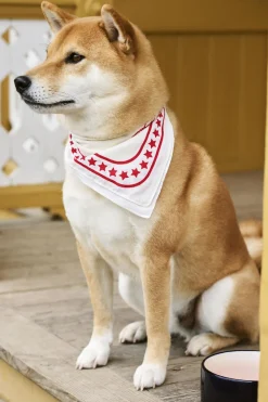 Hay Dogs Scarf-55 x 55-Off-white