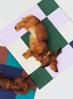 Dogs Travel Blanket-80 x 80-Bur><noscript><img width=