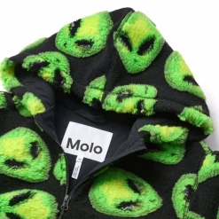 Hazzy><noscript><img width=