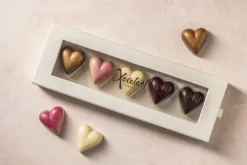 Xocolatl Hearts 5
