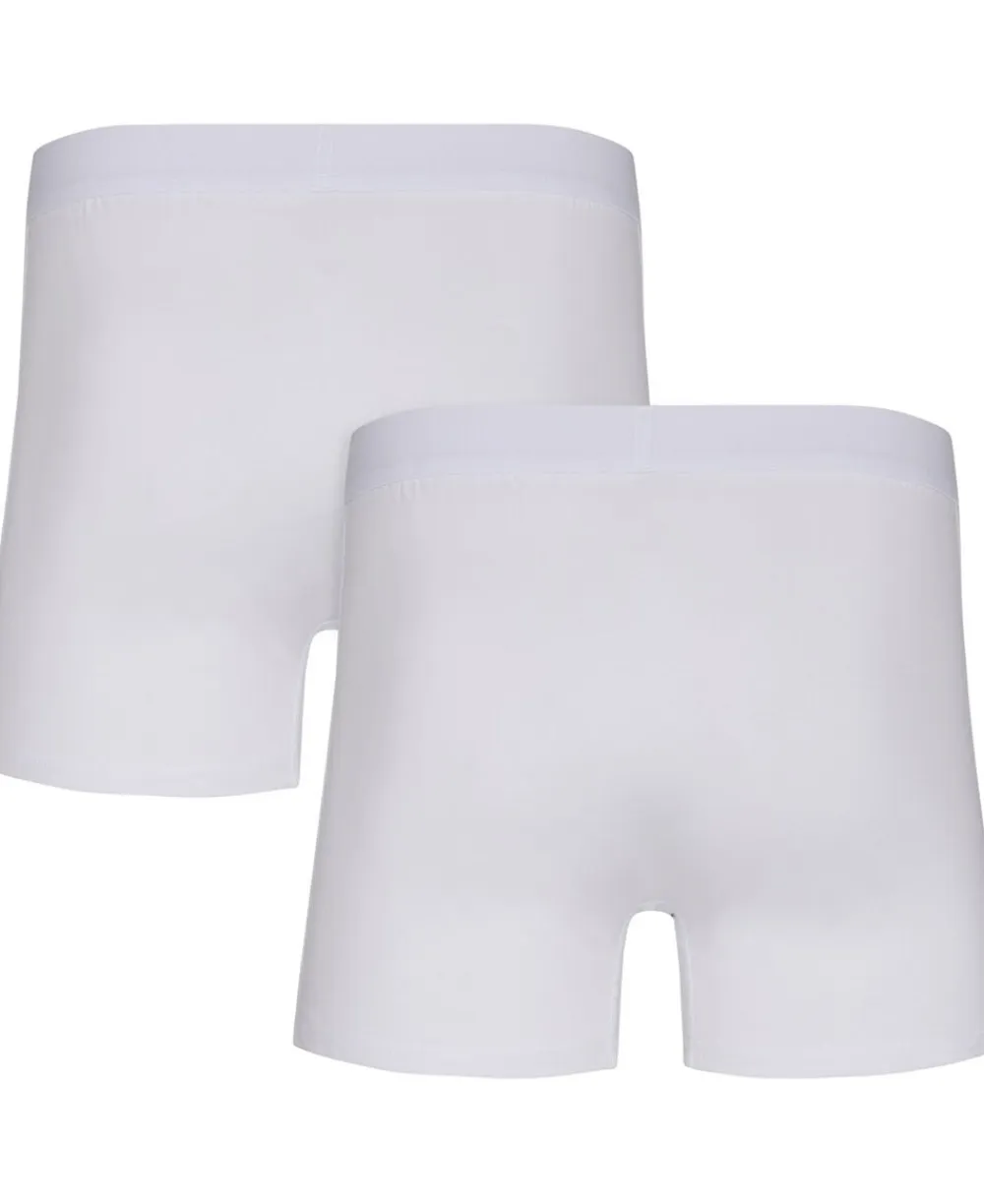 Hr trunk Morley 4>Magasin du Nord Collection