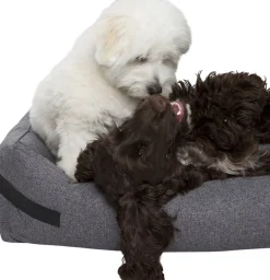 Nordog Hundeseng HYGGE Anthracite Sale