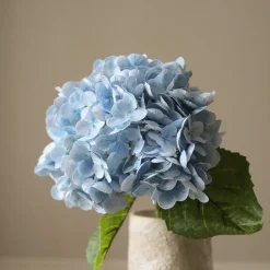 Hydrangea Flower>Botané Sale