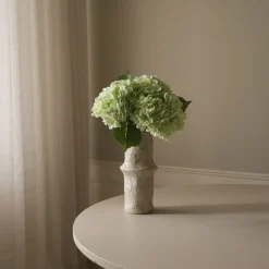 Botané Hydrangea Flower