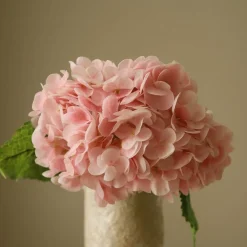 Hydrangea Flower>Botané Online