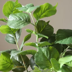 Botané Hydrangea Leaves Outlet