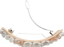 Dame SUI AVA I Can Buy Myself Flowers Clip