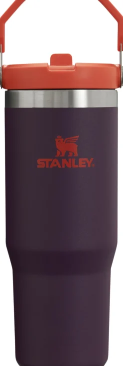 IceFlow Flip Straw Tumbler 0.89L>Stanley Discount