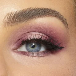 Tarte Iconic palette library Amazonian clay collector's set