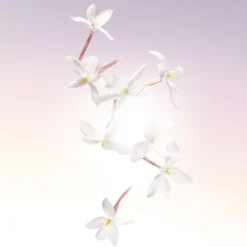 Lancôme Idôle Eau de Parfum