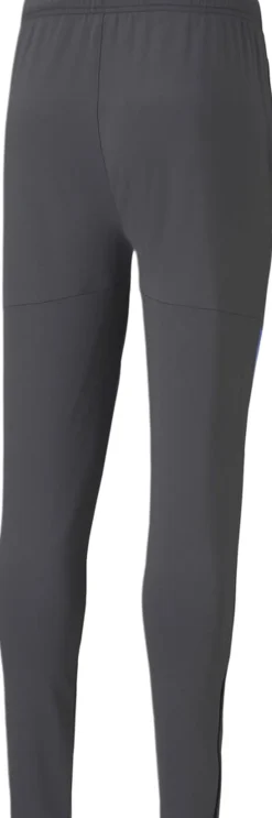 Puma IndividualCUP træningsbukser