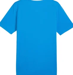 Puma Individualrise Graphic T-shirt Blå Online