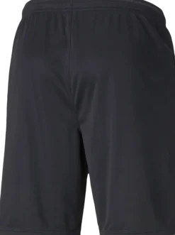 Puma individualRISE træningsshorts Sort Online