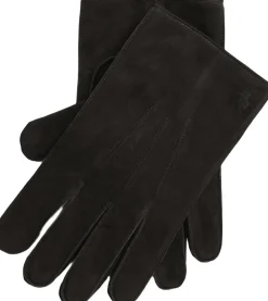 Insulated Suede Gloves>Polo Ralph Lauren Discount