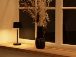 Isa lampe><noscript><img width=