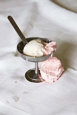 Italian Ice Cup-Stainless steel>Hay