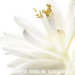 DIOR J'adore Eau de Toilette Roller-Pearl Sale