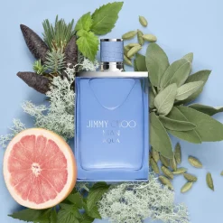 Jimmy Choo JC MAN AQ EDT 100 ML