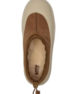 K Tasman Weather Hyb><noscript><img width=