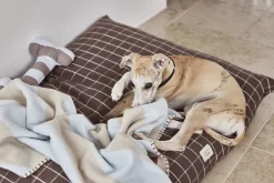 Kaya Hundetæppe - Stor>OYOY Living Design New