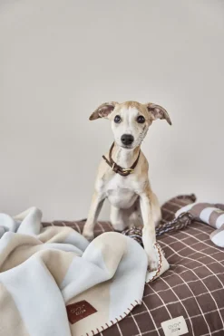 Kaya Hundetæppe - Stor><noscript><img width=