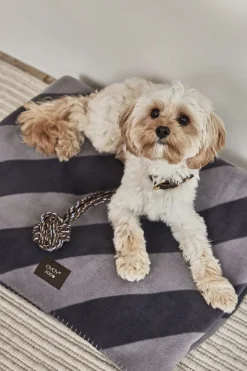 OYOY Living Design Kaya Hundetæppe - Stor