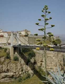 Kinfolk Journeys><noscript><img width=