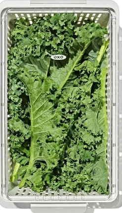 OXO Køleskabsopbevaring - Mellem