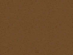 OYOY Living Design Koko Hundeskål Måtte