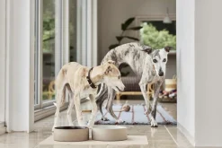 OYOY Living Design Koko Hundeskål Måtte