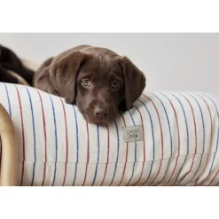 OYOY Living Design Kyoto Hundepude - Medium