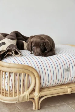 Kyoto Hundepude - Stor><noscript><img width=