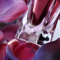 Lancôme La vie est belle L’Elixir Eau de Parfum New
