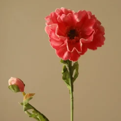 Botané Large Poppy Flower Discount