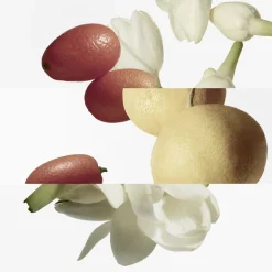 HERMÈS LE JARDIN DE MONSIEUR LI EDT BOTTLE REFILL 200 ML Clearance