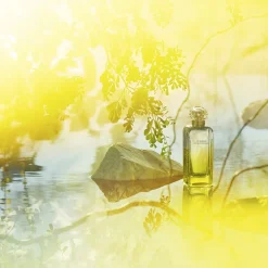 HERMÈS Le Jardin de Monsieur Li Eau de Toilette No color Online