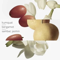 HERMÈS Le Jardin de Monsieur Li Eau de Toilette No color Online