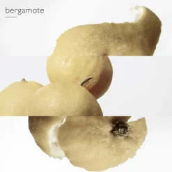 HERMÈS Le Jardin de Monsieur Li Eau de Toilette No color Online