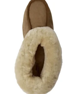 LENA><noscript><img width=