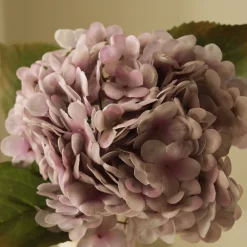 Light Purple>Botané Outlet