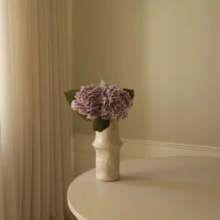 Light Purple><noscript><img width=