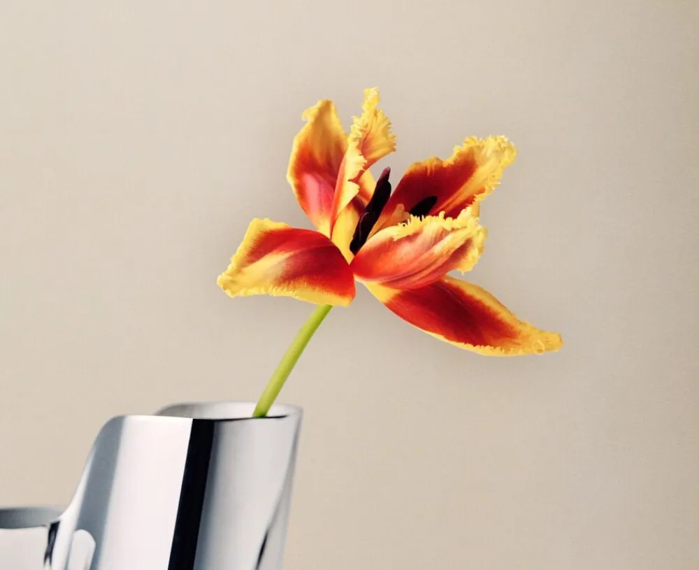 Georg Jensen LITUUS Vase, Gulv Online