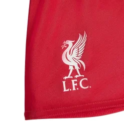 Liverpool 25/26 Hjemmebanesæt><noscript><img width=