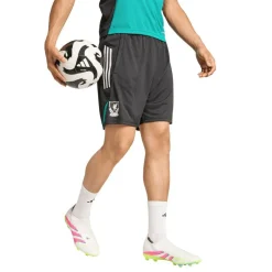 Liverpool EU Shorts><noscript><img width=