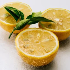 LOEWE Agua Mar de Coral Eau de Toilette>Loewe Perfumes Outlet