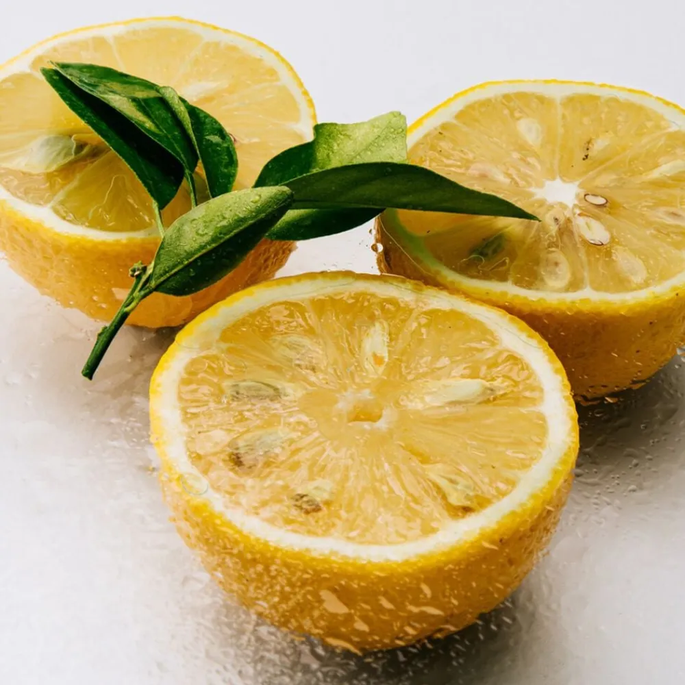 LOEWE Agua Mar de Coral Eau de Toilette>Loewe Perfumes Outlet